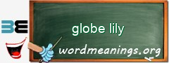 WordMeaning blackboard for globe lily